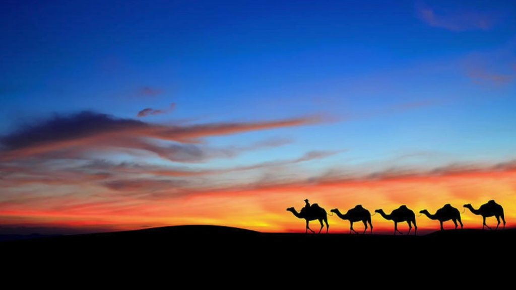 A silhouette of camels across the desert. Inspiration for us to write about blending in anywhere.