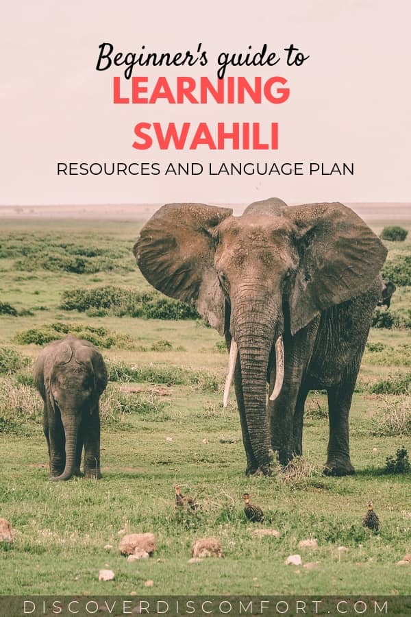 Language resource and plan for learning Swahili. Swahili is spoken by around 100 million speakers. It is the national language for Tanzania, Kenya, Uganda and the lingua franca for much of East Africa. Learning a bit of this beautiful language before traveling to this region is a great way to take your experience to the next level and truly experience the region’s culture.