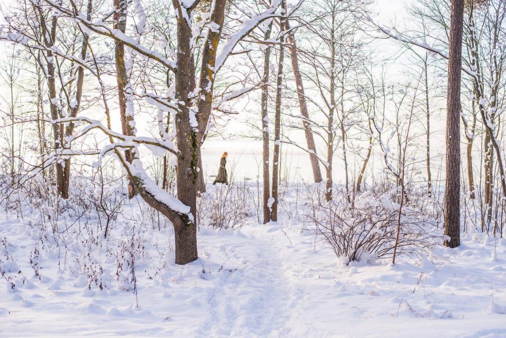 Living in Estonia is amazing if you get the chance to go hiking in a bog, on the snow.