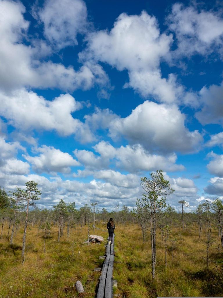 Hiking in a bog is just one of the amazing things you can do while living in Estonia.