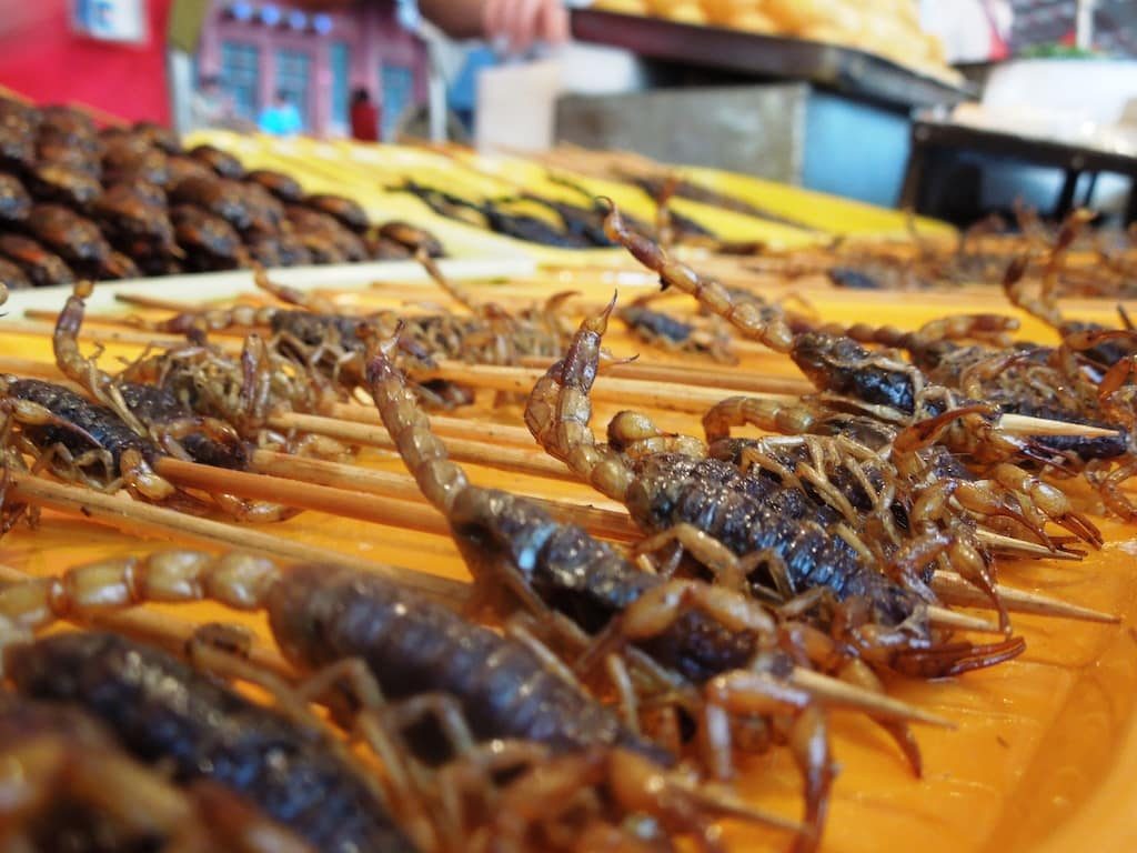 How to eat food in China - Don't order scorpions in Wangfujing
