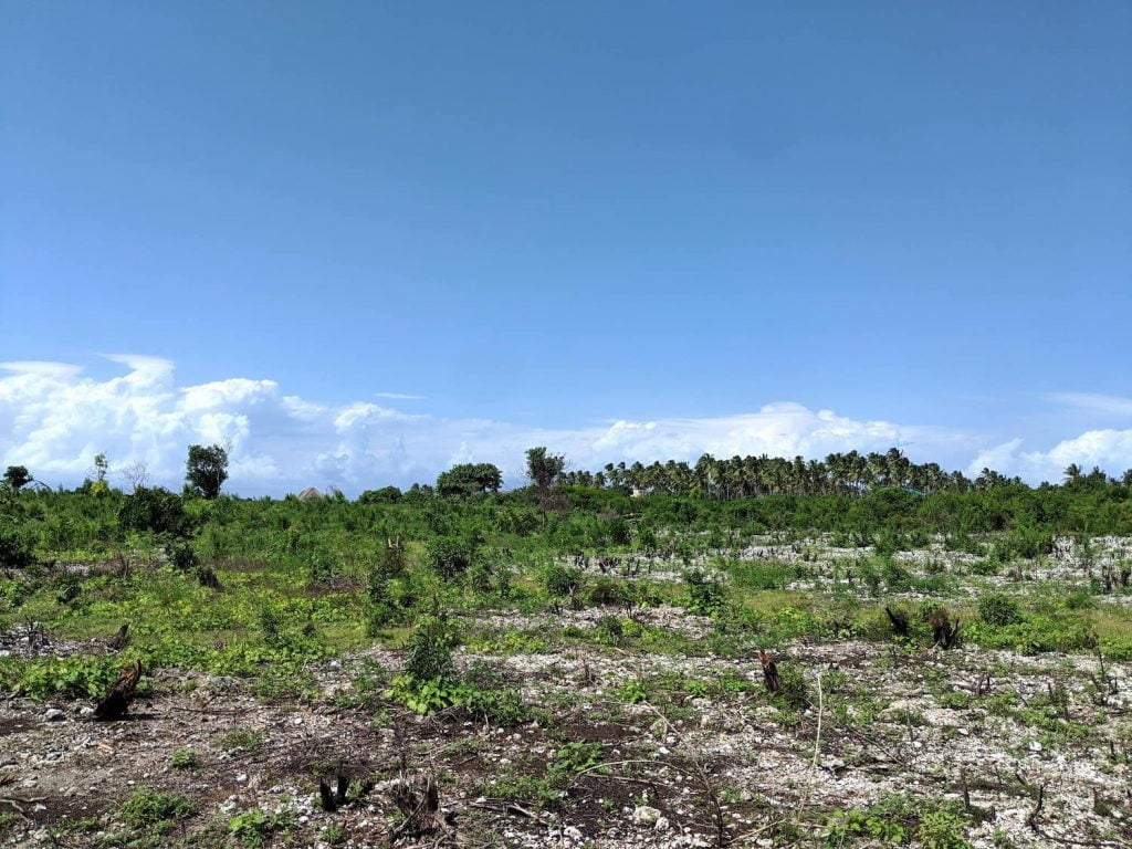 If you like running, hiking or walking, you'll love Zanzibar for its many trails and empty roads.