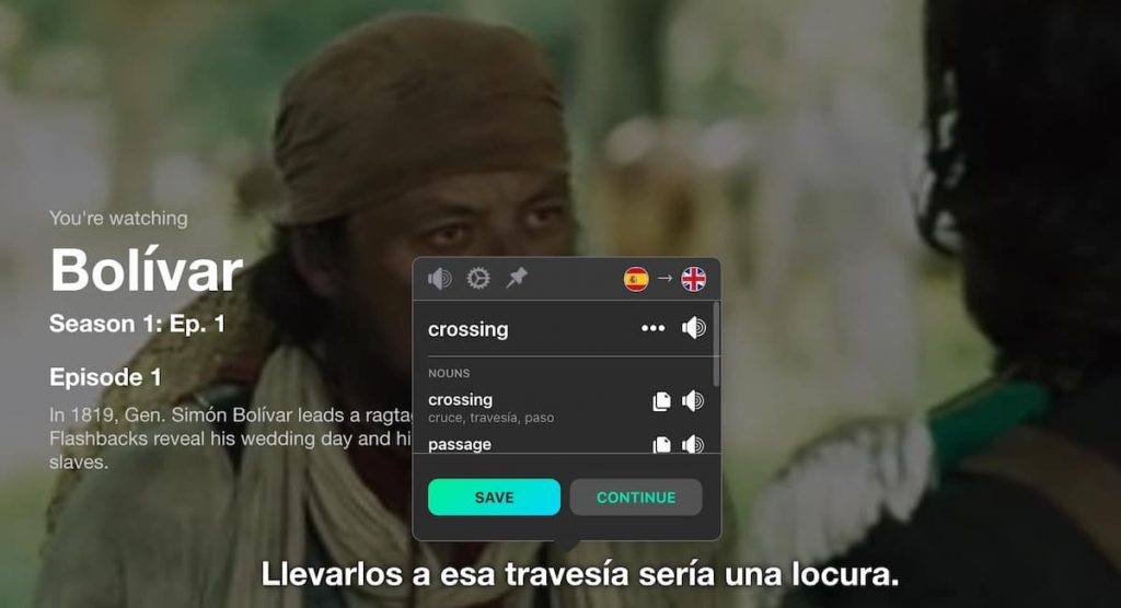 Translate Netflix subtitles live to more easily learn any foreign language.