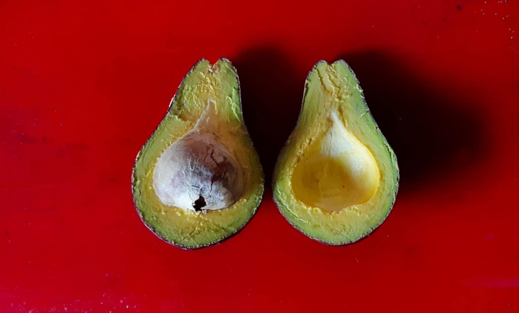 Avocados we bought on the street in Moshi, which is pretty much reason enough to learn Swahili.