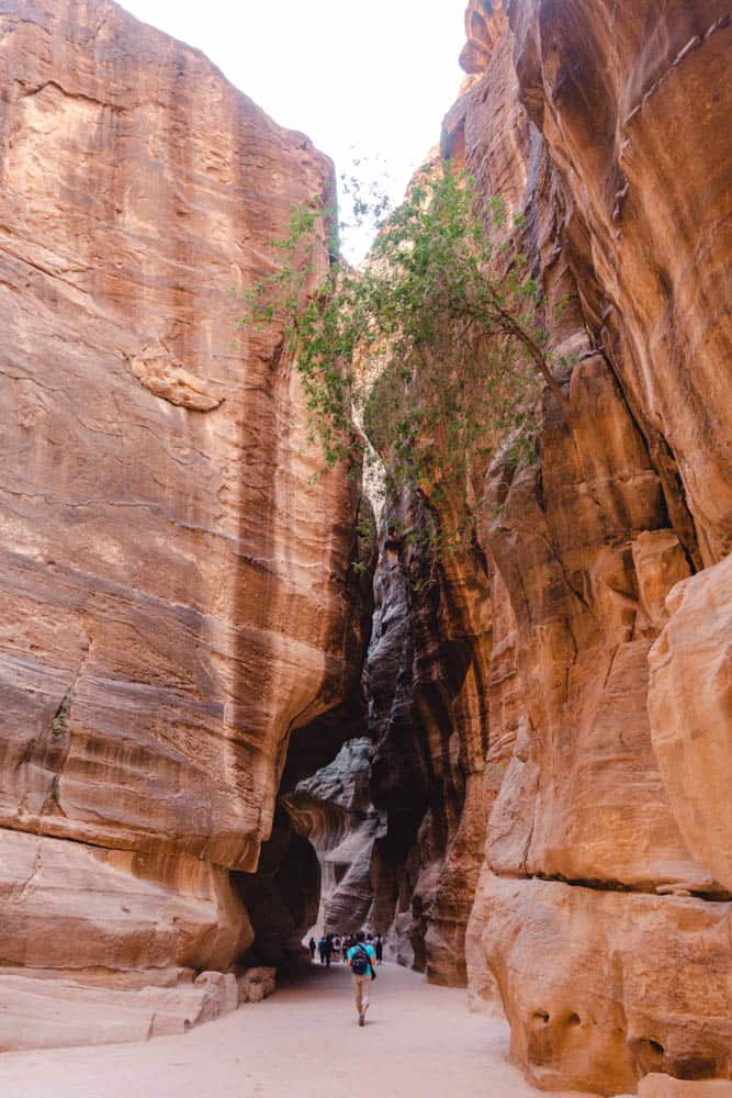 When visiting Petra, following the Siq trail is mandatory