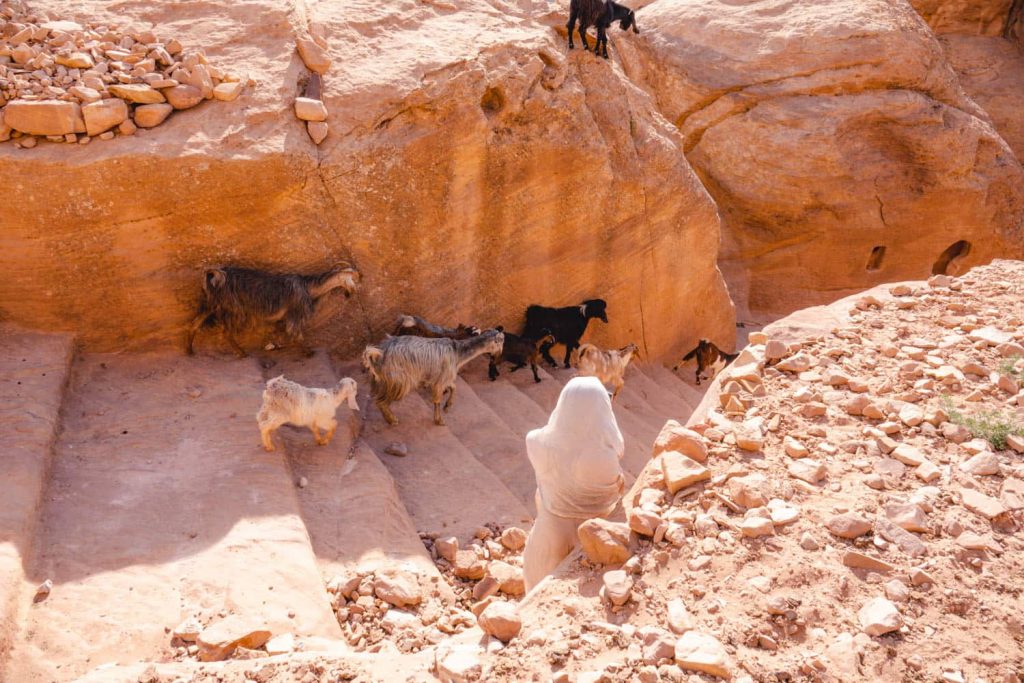 One of the walking trails in petra, with goats walking along it. this is me hiding from a stampede (not really) of goats!