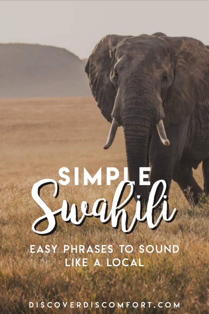 This is the Swahili that’s not focused on in textbooks but which makes living in Tanzania or Kenya SO much easier. We learned this after two months in East Africa, learning Swahili, and are happy to pass this on to you.