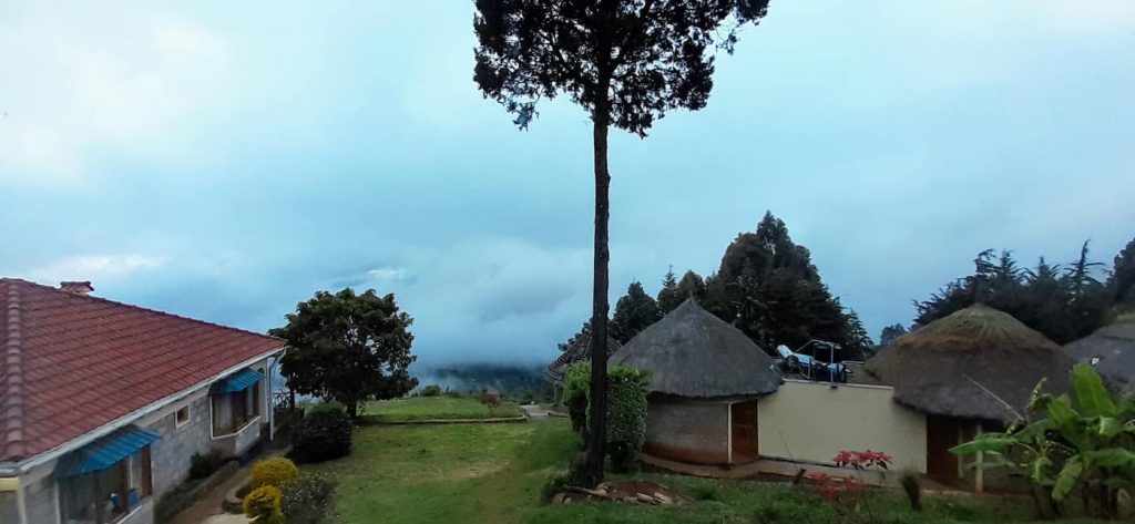 Running in Iten - day 12, runing a long run in theclouds