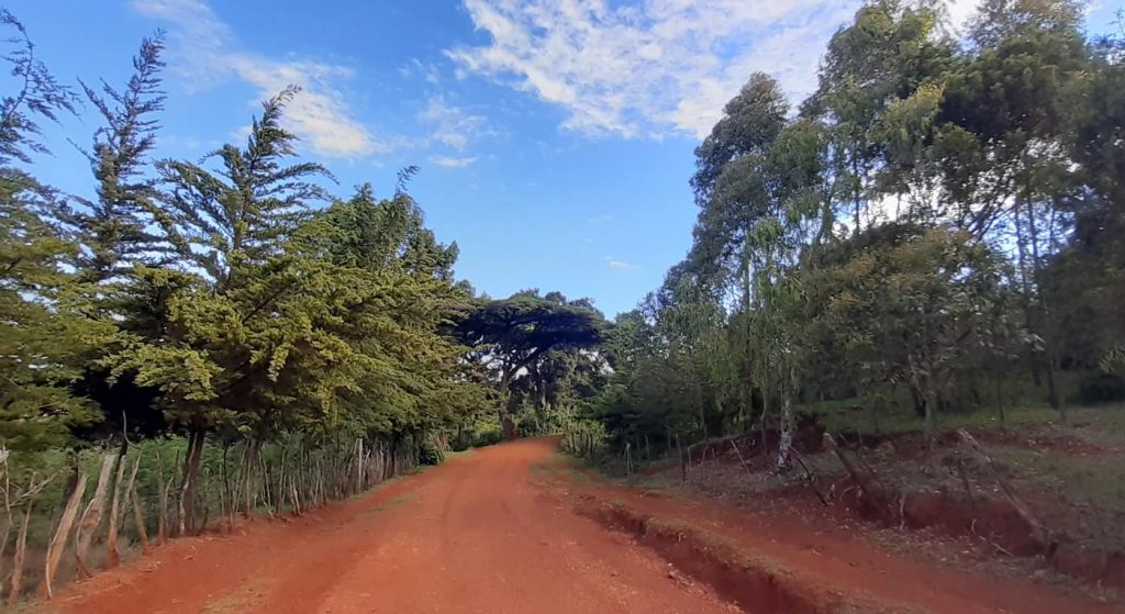 Day 6 of running in Iten - blue skies