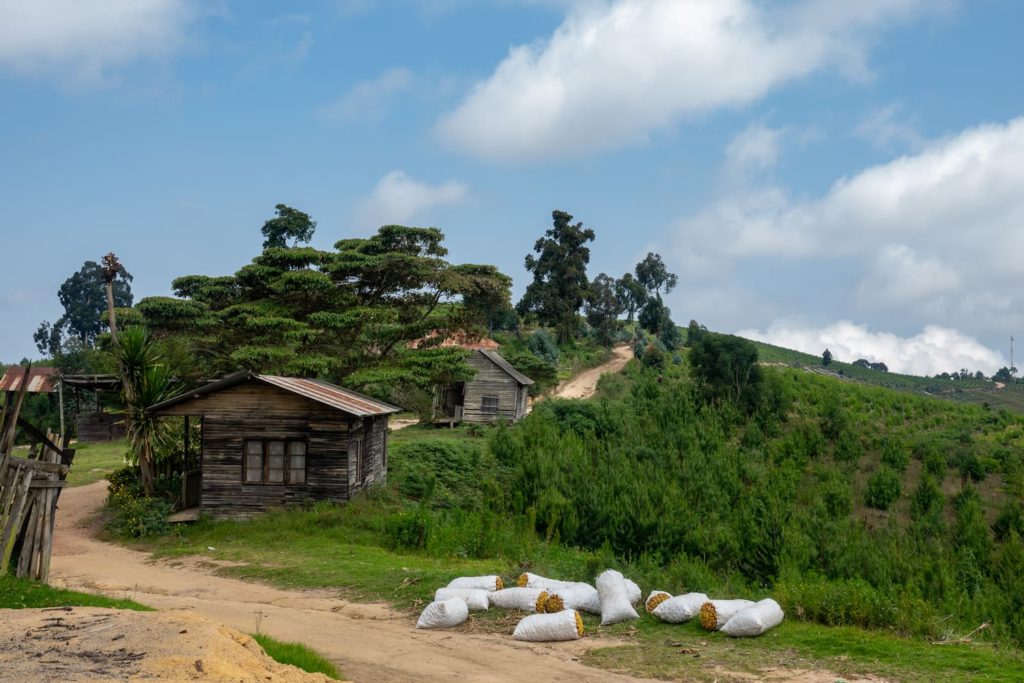 The Usambara Mountains, where Swahili verbs are used to say things like "Inapendeza"