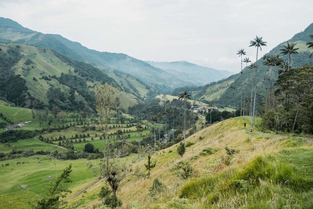 Green mountain view from Cocora Valley Salento