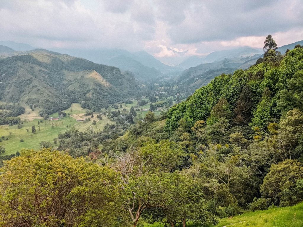 Mirador de Salento view of green valley with trees