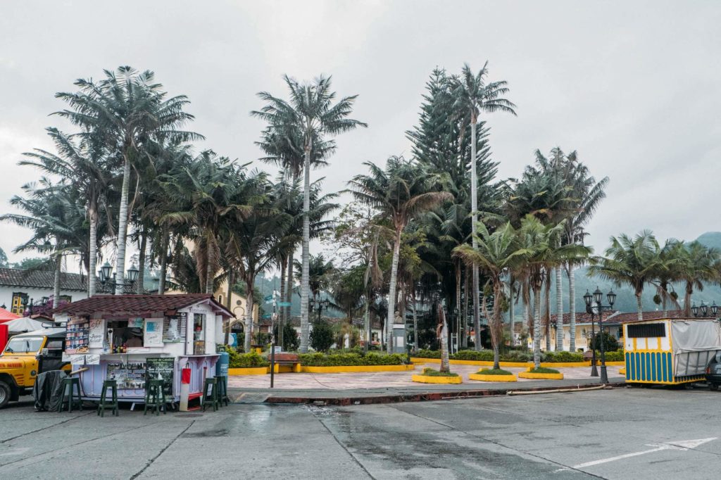 Plaza Bolivar palm trees Salento