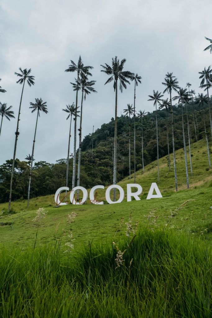 The Ultimate Valle de Cocora Hiking Guide 2