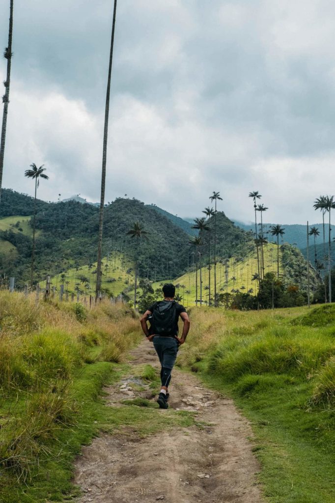 The Ultimate Valle de Cocora Hiking Guide 1