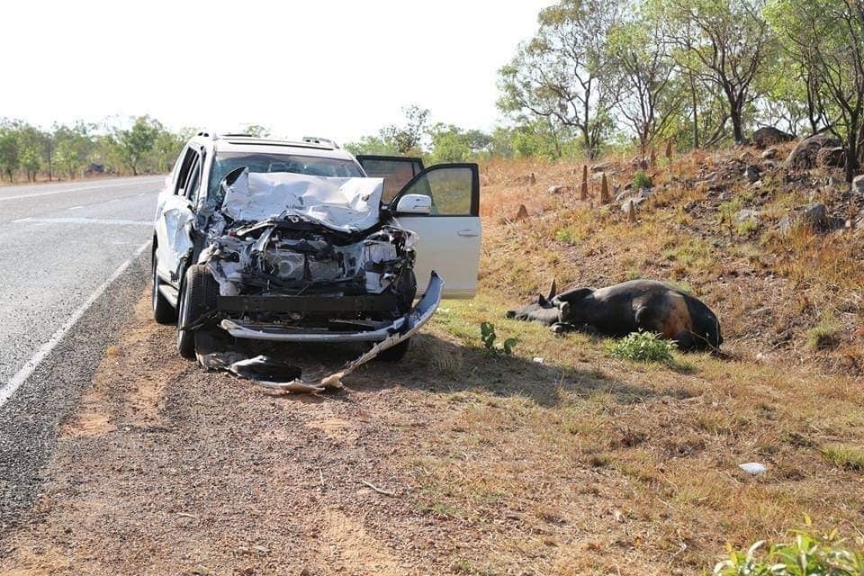 Remains of a car after hitting a water buffalo - showing a bull bar is a necessary 4x4 mods