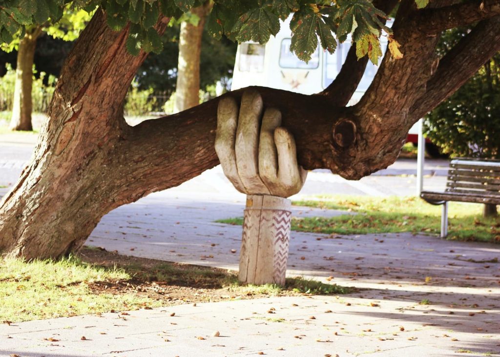 A hand supporting a tree, for the article "you're welcome" in French.