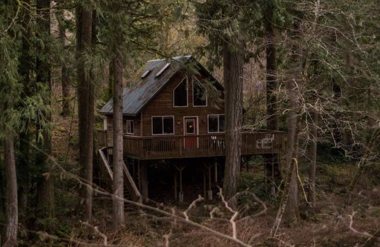 20 Epic Airbnb Big Bear Cabin Escapes (2021)