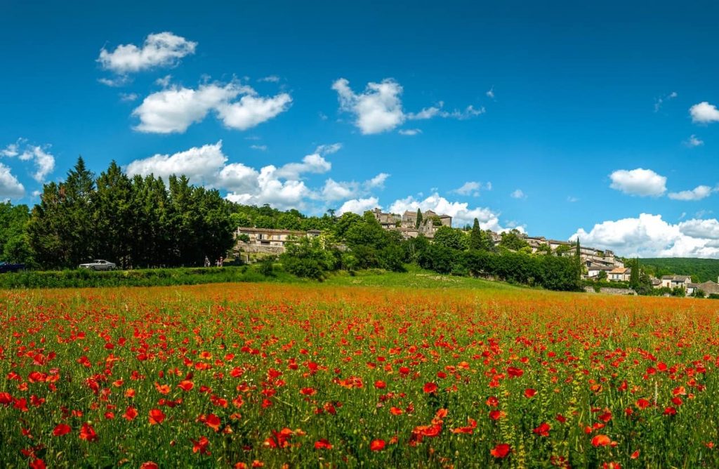 Beautiful french words cover image - france red flowers in field with castles