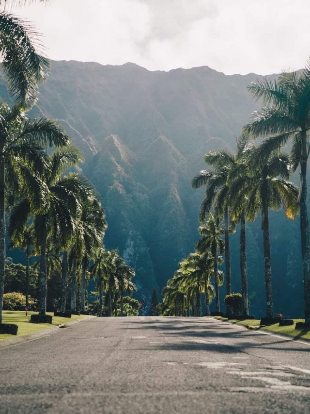 Best Airbnbs in Hawaii