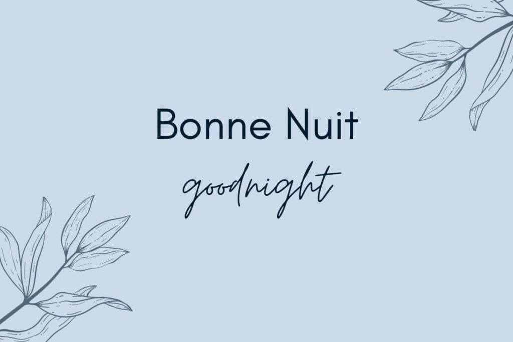 bonne nuit in french