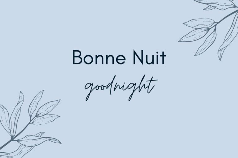 Bonne Nuit in French – What does it mean?
