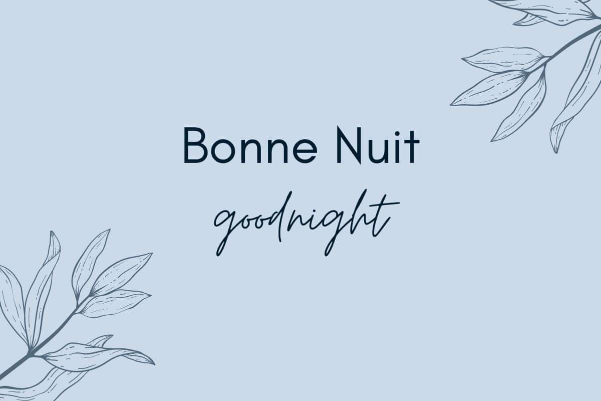 Bonne Nuit in French - What does it mean?