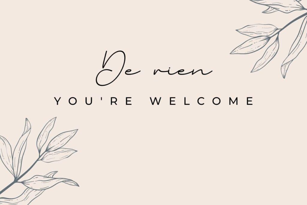 How to Say YOU'RE WELCOME in French? (De Rien) 