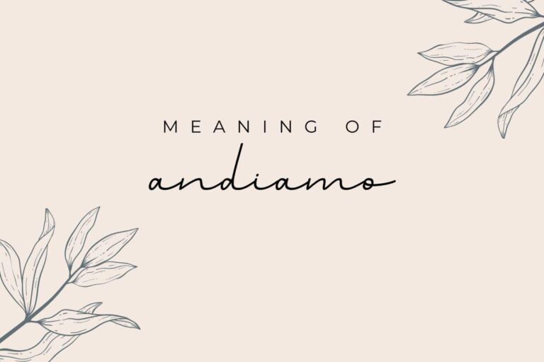 5 Most Common Meanings of Andiamo