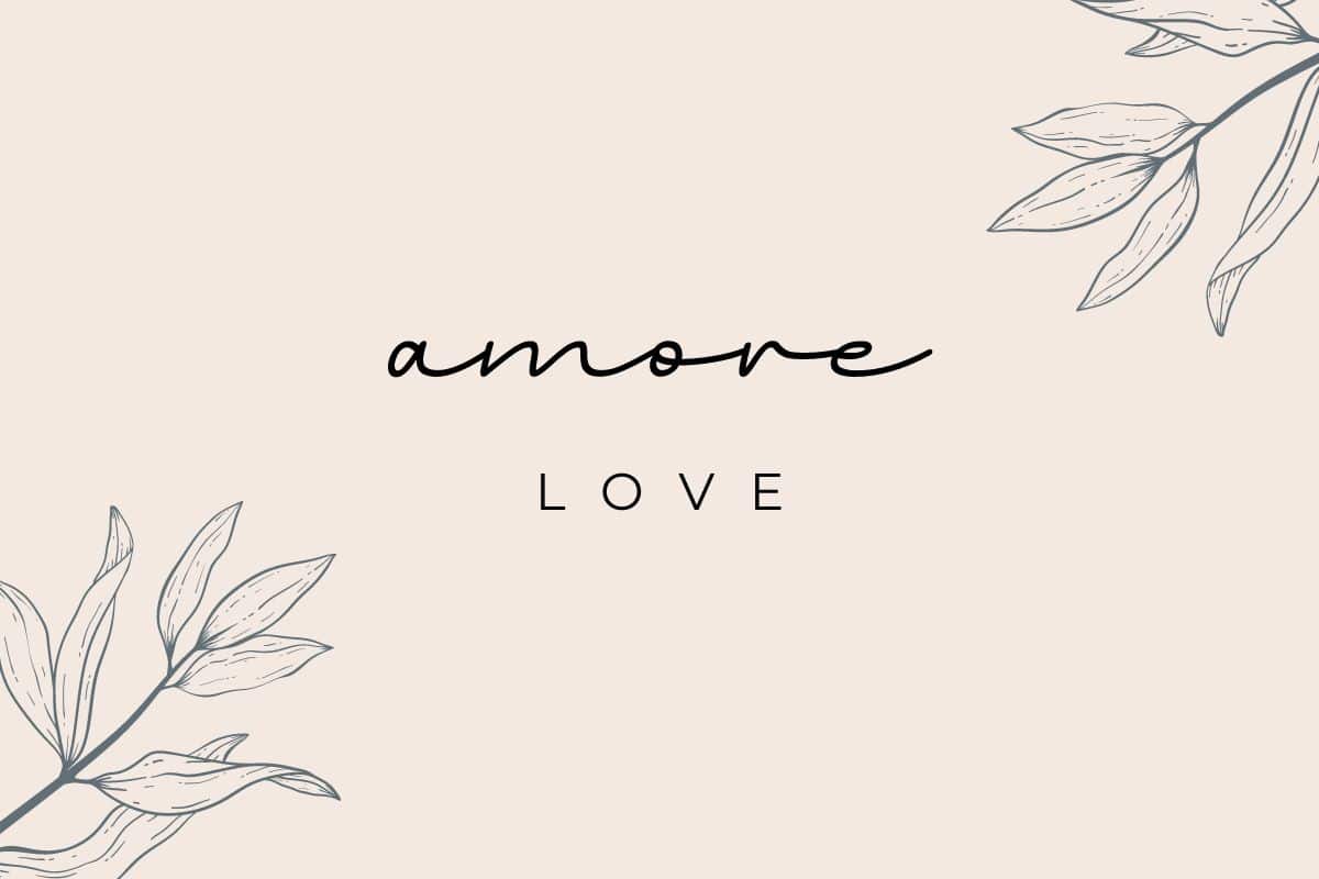 Ciao Mi Amore Meaning In English