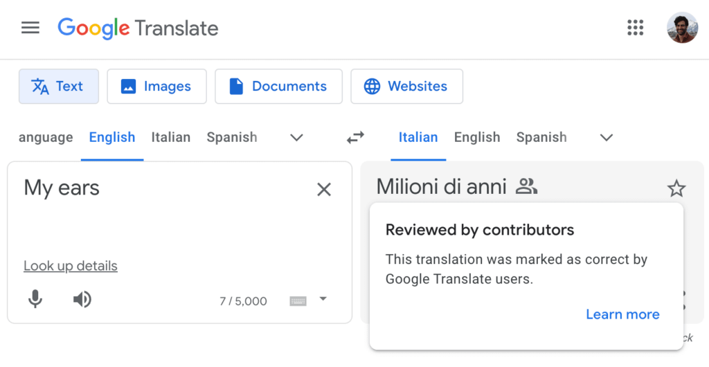Google Translate Mistakes