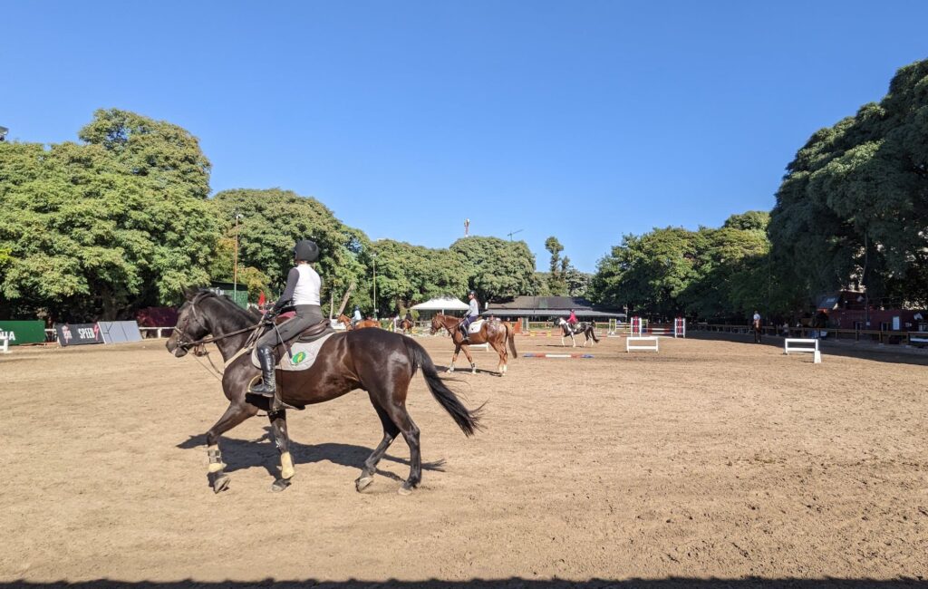 Escuela hipo campo horse riding school in Buenos Aires